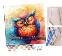 Pintar por Numeros Red de caza de sueños del búho sonriente (2) Adultos Kit de Pintura al óleo de Lienzo DIY para con Pinceles Pigmento Acrílico 40 x 40cm (Sin Marco)