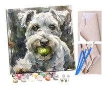 Pintar por Numeros Schnauzer blanco y perro de raza pelota (2) Adultos Kit de Pintura al óleo de Lienzo DIY para con Pinceles Pigmento Acrílico 40 x 40cm (Sin Marco)