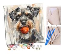 Pintar por Numeros Schnauzer con pelota en la boca acuarela (6) Adultos Kit de Pintura al óleo de Lienzo DIY para con Pinceles Pigmento Acrílico 40 x 40cm (Sin Marco)