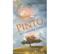 Pinto - Der Vierte Plan (ebook)