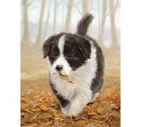Pintoo Rompecabezas de 500 piezas para adultos, John Silver, Border Collie, fácil almacenamiento, rompecabezas de plástico entrelazado, no requiere pegamento [H2802]