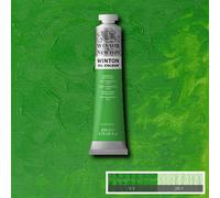 Pintura Al Óleo Winsor & Newton Winton 200ml Tubos, 55 Colores Disponibles