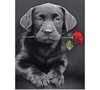 Pintura de Diamante Cuadrado 40x50 cm 5D Punto de Cruz Diamante Perros Labrador Rosa Diamond Painting Square Drill Perro Pintura por Números Puzzle Diamantes Perros Cuadro de Diamante Animales