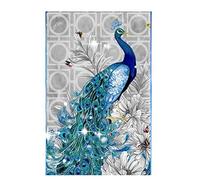 Pintura de diamante de pavo real, 5D DIY Accesorios de pintura de diamante Pinturas de bordado Rhinestone Pegado de punto de cruz Kits de punto de cruz de diamante para adultos o niños (D-12" x 16")