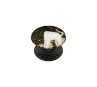 Pintura de Gato por el Artista francés Pierre Bonnard PopSockets PopGrip Adhesivo