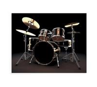 Pintura personalizada por números para adultos, principiantes, kit de pintura al óleo digital sobre lienzo con pinceles y pigmento acrílico, juego de tambor genial, pintura de dibujo para regalo