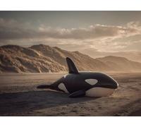 Pintura por Números Adultos, Desierto De Peces 80x100cm Acrílica Pintura por Números para Niños Adultos Principiantes Pintar con 3 Pinceles Acuarela Paint by Number Niños Kit (Sin Marco) WJY8-886