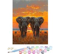 Pintura por Numeros Adultos Elefante Cuadros por Numeros Sunset Entretenimiento Adultos Painting by Numbers Retro DIY Lienzo Grande Pintura para Decoracion Hogar Regalo Sin Marco 40x60cm 7-X51LS