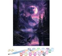 Pintura por Numeros Adultos Luna Cuadros por Numeros Lago Entretenimiento Adultos Painting by Numbers DIY Lienzo Grande Pintura Con Pinceles Pigmento, Decoracion Hogar Sin Marco 70x100cm F-64919
