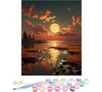 Pintura por Numeros Adultos Luna Cuadros por Numeros Sea Entretenimiento Adultos Painting by Numbers DIY Lienzo Grande Pintura Con Pinceles Pigmento, Decoracion Hogar Regalo Sin Marco 80x120cm S-D93TA