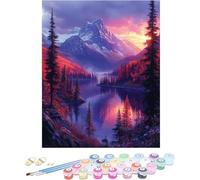 Pintura por Numeros Adultos MontañA Cuadros por Numeros Lago Entretenimiento Adultos Painting by Numbers Retro DIY Lienzo Grande Pintura para Decoracion Hogar, Regalo Mujer Sin Marco 70x100cm C-P51VX