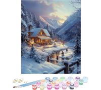 Pintura por Numeros Adultos Nieve Cuadros por Numeros Invierno Entretenimiento Adultos Painting by Numbers Retro DIY Lienzo Grande Pintura para Decoracion Hogar Regalo Sin Marco 80x120cm 0-E51PP