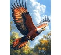 Pintura por Numeros Adultos PáJaro Cuadros por Numeros áGuila Painting by Numbers DIY Lienzo Grande Pintura Entretenimiento Adultos Incluye Accesorios, Decoracion Hogar 80x120cm Sin Marco 1-80SO