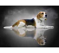 Pintura por números para adultos Beagles perro DIY pintura por números kits en lienzo 40,6 x 50,8 cm