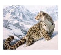 Pintura por Números para Adultos,Leopardo de las nieves Kit de pintura por números DIY con Pinceles y Acrílicas al óleo para Adultos Niños Lienzo Arte Hogar de Pared Decoraciones - sin Marco,40x50cm
