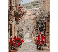 Pintura por Números para Adultos, Motocicleta roja, Kit de Pintura al óleo de Lienzo para con Pinceles, Pintura por Números Para Decoración Del Hogar, Sin Marco 30x40 cm, Calle con flores de colores