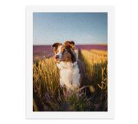 Pintura por números, un colorido perro pastor en un campo de lavanda, kit de pintura digital para adultos, crea tu propia escena mágica, suministros de arte sin marco, 40 x 50 cm