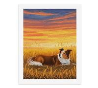 Pintura por números, un colorido perro pastor en un campo de trigo, kit de pintura digital para adultos, crea tu propia escena mágica, suministros de arte sin marco, 40 x 50 cm