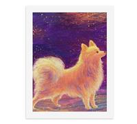 Pintura por números, un colorido perro pomerania se encuentra contra un cielo nocturno estrellado, kit de pintura digital para adultos, crea tu propia escena mágica, suministros de arte sin marco, 40