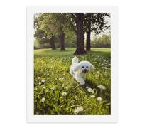 Pintura por números, un lindo perro blanco corriendo en un campo de flores, kit de pintura digital para adultos, crea tu propia escena mágica, suministros de arte sin marco, 40 x 50 cm