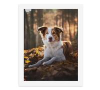 Pintura por números, un lindo perro pastor multicolor acostado sobre hojas caídas en el bosque, kit de pintura digital para adultos, crea tu propia escena mágica, suministros de arte sin marco, 40 x