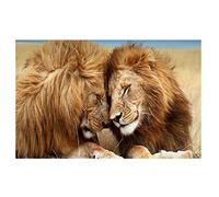 Pintura sobre lienzo Dos Leones Animales Salvajes Paisaje Carteles e Impresiones Arte de Pared Cuadros para Sala de estar Decoración del Hogar Regalo 80x120cm Sin Marco