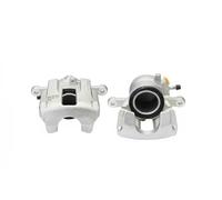 Valeo Hierro Fundido de Pinza Neogen RN5798125A0 para Mercedes Clase A (9298264)