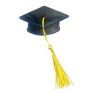 Pinza de Garra para Graduación - Horquilla Estable con Mini y Elegante - Accesorios de graduación para el pelo,para Graduados, Licenciados, Doctoras, Mujer, Playa, Vacaciones, Diario