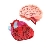 Pinza de pelo anatómica de acetato personalizada con forma de corazón, pinza de cerebro, pinza relajante para el pelo para enfermeras, vacaciones, regalo personalizado y divertido para mujeres