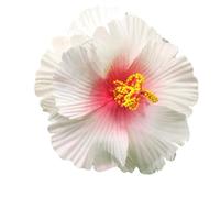 Pinza de pelo única, adorno de flor de hibisco, elegante clip de playa, horquillas de hibisco para bodas en la playa