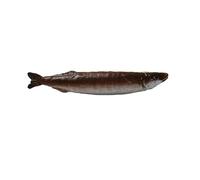 Pinza Para Cabello Creativa Y Encantadora Horquilla De Pescado Con Comida Simulada Clip Con Flequillo Para Mujer Pasador Coreano Llavero De Resina Decoración Peculiar Para Cabello
