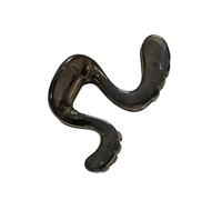 Pinza para cola de caballo curvada de acrílico, color negro transparente | Carcasa acrílica, acabado redondeado, bisagra de resorte, agarre para entrenamientos, viajes, escuela, mujeres