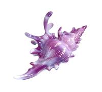 Pinza para el pelo con diseño de caracola, colorido y detallado, fuerte sujeción, pinza de estilo diario para mujer