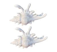 Pinza para el pelo con diseño de caracola marina, elegante accesorio de acrílico para peinar el cabello para mujer, accesorio temático para eventos temáticos, 2 unidades