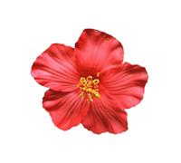 Pinza para el pelo con flores hawaianas rojas para mujeres y ni as, accesorio bohemio de moda para bailarinas, bodas, fiestas en la playa (8 cm)