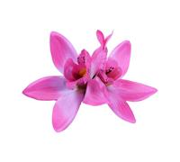 Pinza para el pelo de flores de tela elegante, horquilla para niñas, pasadores laterales, herramienta para modelar el cabello femenino, decoración para el cabello