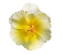 Pinza para el pelo, diseño de hibisco, diseño de bala para el pelo, decoración única