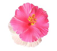 Pinza para el pelo, diseño de hibisco, diseño de bala para el pelo, decoración única