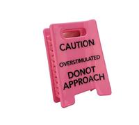 Pinza para el pelo ligera y cómoda para fiestas, salidas diarias, con precaución humorística, accesorio temático sobreestimulado, divertidos pasadores para el cabello