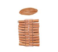 Pinzas de madera con resorte para colgar ropa, papel fotográfico, proyecto de artesanía para niños, 20 unidades/lote, pinzas de madera de colores para exhibición de fotos, mesa de aula