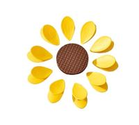 Pinzas magnéticas para patatas fritas, 10 piezas con forma de pétalo, herméticas, reutilizables, clips magnéticos para refrigerador, para pasta cereal, bolsas de condimentos de cocina
