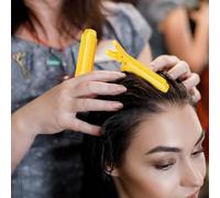 Pinzas para el cabello con volumen, clips de raíz para el volumen, raíz para rodillos voluminizadores, voluminización instantánea para mujeres