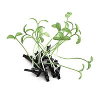 Pinzas para el pelo con diseño de pico de pato, pinzas laterales para el pelo, divertidas pinzas decorativas para el pelo para fiestas