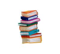 Pinzas para el pelo con forma de libro, color naranja/libro, para el regreso a clases, para profesores, para mujeres, amantes de los libros, profesores, extensiones de cola de caballo (color naranja,