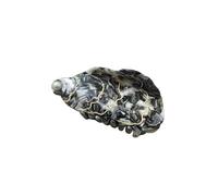 Pinzas para el pelo de acetato de trompeta oceánica, ballena, caballito de mar, cangrejo, estrella de mar, pinzas laterales para niñas, pinzas de garra grandes para mujeres, accesorios para el cabello
