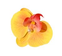 Pinzas para el pelo de flores, pasadores de pelo Phalaenopsis, tocado en forma de flor de 3.75 pulgadas para arte moderno, suministros profesionales para el hogar, kit de reparación diaria, unidad de
