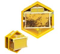 PioMue Kit de Inicio para Colmena, Kit de observación Hexagonal de Pared con Ventana acrílica, Incluye 3 Marcos y 6 bandejas de Panal para Apicultura de Interior y jardín.