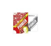 Pioneer Elementary Workbook Online Pack