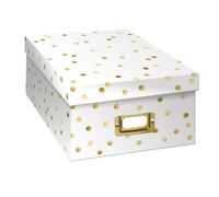 Pioneer Photo Albums Caja de fotos, oro