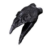 Pipa de muerte azteca | 3,94 pulgadas Ornamento de flauta de guerra auténtico | HARZ Strange Sound Collector Decoración Skull Screaming Flauta for Spukhaus Halloween Creepy Party Gift Idea